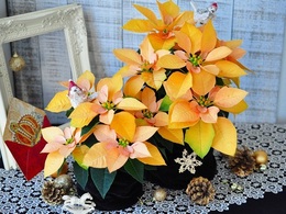 poinsettia gold20161001.jpg
